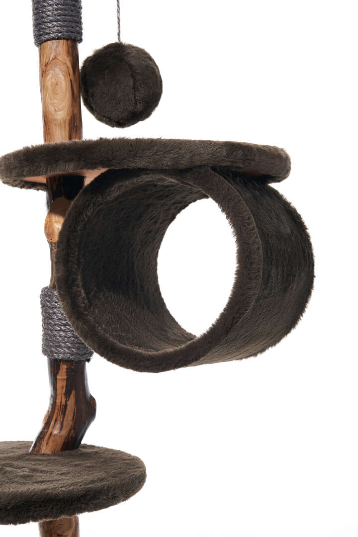 Nobby Kratzbaum Gena